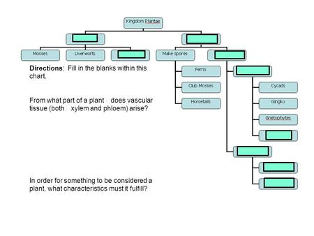 Directions: Fill in the blanks within this chart. From what part of a plant does vascular tissue (both xylem and phloem) arise? In order for something.