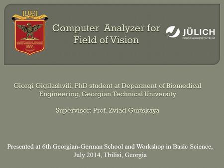 Computer Analyzer for Field of Vision