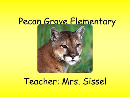 Pecan Grove Elementary