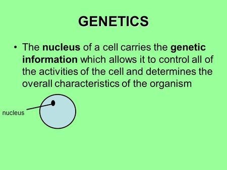 GENETICS The nucleus of a cell carries the genetic information which allows it to control all of the activities of the cell and determines the overall.