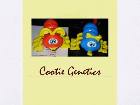 Cootie Genetics.