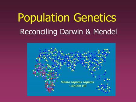 Population Genetics Reconciling Darwin & Mendel. Darwin Darwin’s main idea (evolution), was accepted But not the mechanism (natural selection) –Scientists.