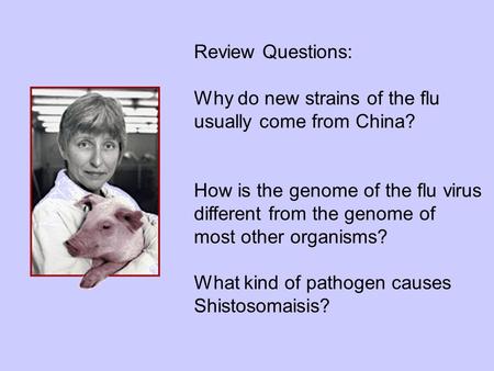 Review Questions: Why do new strains of the flu usually come from China? How is the genome of the flu virus different from the genome of most other organisms?