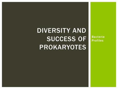 Bacteria Profiles DIVERSITY AND SUCCESS OF PROKARYOTES.