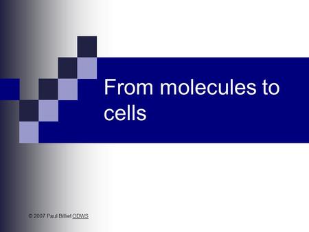 From molecules to cells © 2007 Paul Billiet ODWSODWS.