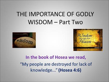 THE IMPORTANCE OF GODLY WISDOM – Part Two