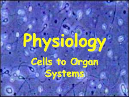 Physiology Cells to Organ Systems. How did Cells Form? Several Theories of How Cells Formed: –Cells arose in shallow pools containing “soup” of chemicals.