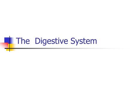 The Digestive System.