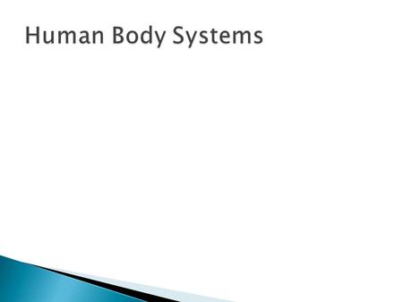  JOBS: ◦ Delivers oxygen and nutrients to cells ◦ Transfers waste/Carbon Dioxide away from Cells  Major Organs: ◦ Heart ◦ Vein ◦ Arteries.