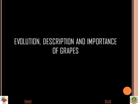 EVOLUTION, DESCRIPTION AND IMPORTANCE OF GRAPES NextEnd.