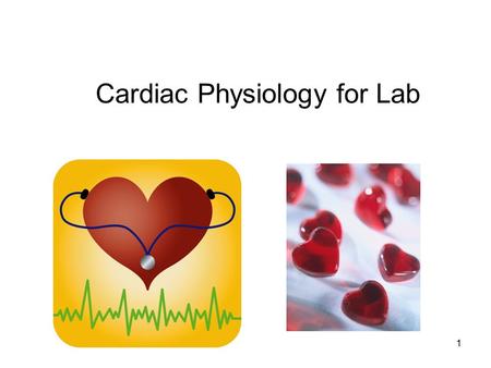 Cardiac Physiology for Lab 1. Cardiac Output (CO) Blood pressure Vessel resistance 2.