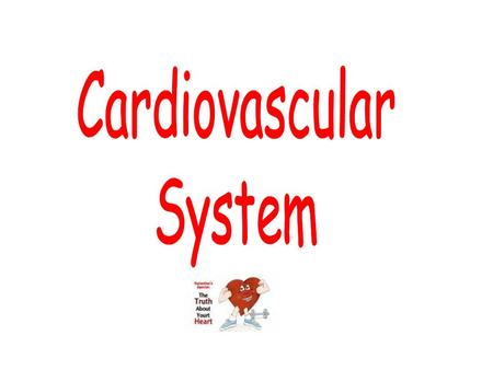 Cardiovascular System.