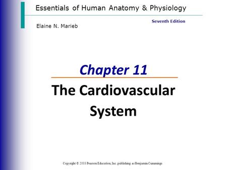 Essentials of Human Anatomy & Physiology Copyright © 2003 Pearson Education, Inc. publishing as Benjamin Cummings Seventh Edition Elaine N. Marieb Chapter.