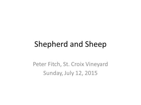 Shepherd and Sheep Peter Fitch, St. Croix Vineyard Sunday, July 12, 2015.