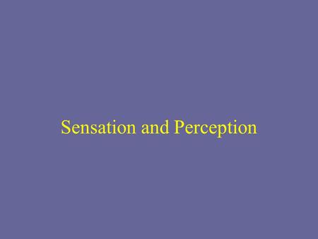 Sensation and Perception