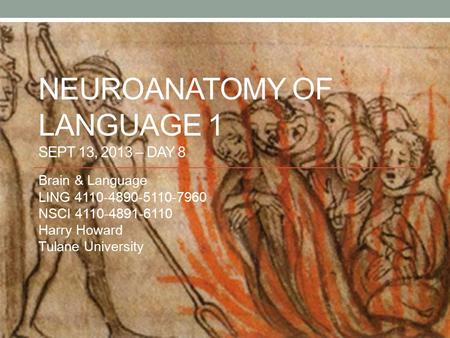 NEUROANATOMY OF LANGUAGE 1 SEPT 13, 2013 – DAY 8 Brain & Language LING 4110-4890-5110-7960 NSCI 4110-4891-6110 Harry Howard Tulane University.