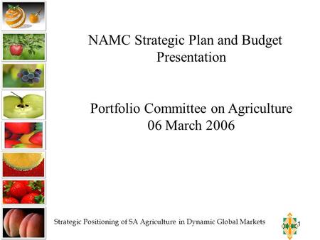 1 NAMC Strategic Plan and Budget Presentation Portfolio Committee on Agriculture 06 March 2006 Strategic Positioning of SA Agriculture in Dynamic Global.