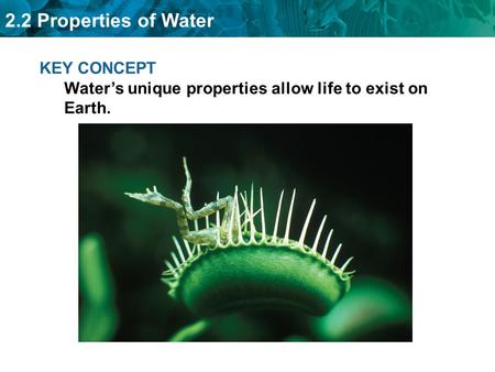 KEY CONCEPT Water’s unique properties allow life to exist on Earth.