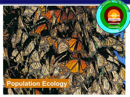 AP Biology Population Ecology population ecosystem community biosphere organism.