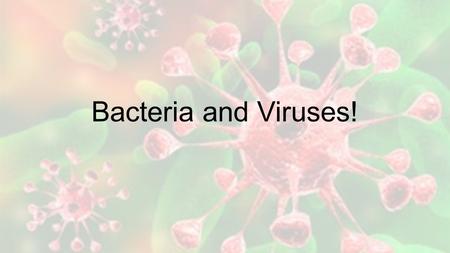 Bacteria and Viruses!. Vocab—Hooray! 1.Prokaryote 2.Bacillus 3.Coccus 4.Spirillum 5.Pathogen 6.Virus 7.Capsid 8.Vaccine 9.Antibiotic.