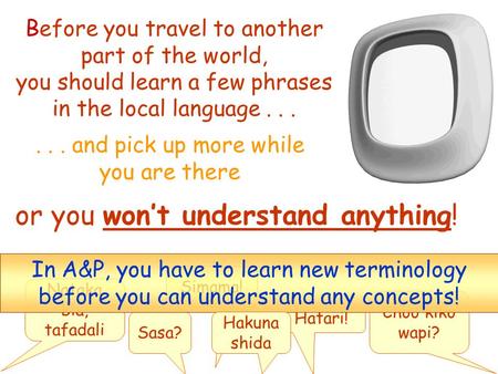 Before you travel to another part of the world, you should learn a few phrases in the local language...... and pick up more while you are there or you.