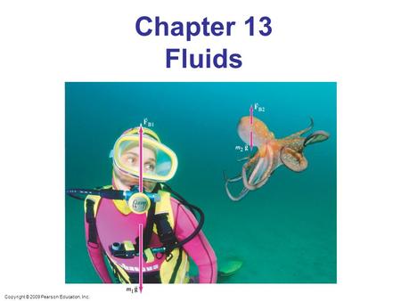 Copyright © 2009 Pearson Education, Inc. Chapter 13 Fluids.