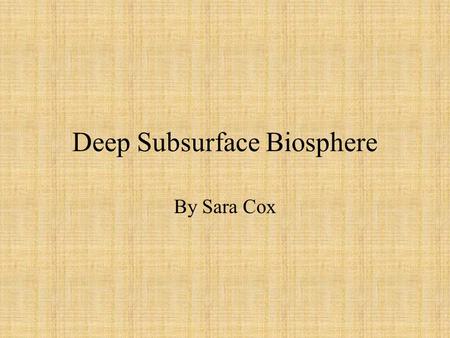 Deep Subsurface Biosphere