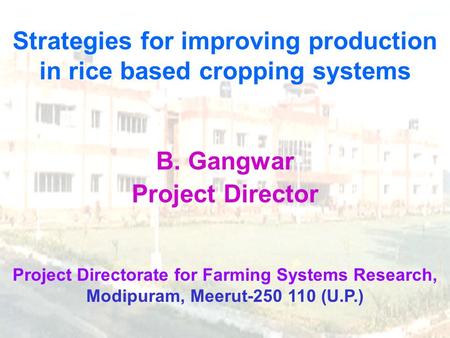 Strategies for improving production in rice based cropping systems B. Gangwar Project Director Project Directorate for Farming Systems Research, Modipuram,