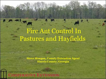 Steve Morgan, County Extension Agent Harris County, Georgia Fire Ant Control In Pastures and Hayfields.