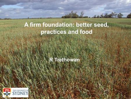 1 A firm foundation: better seed, practices and food R. M. Trethowan A firm foundation: better seed, practices and food R Trethowan.