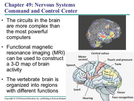 Chapter 49: Nervous Systems Command and Control Center