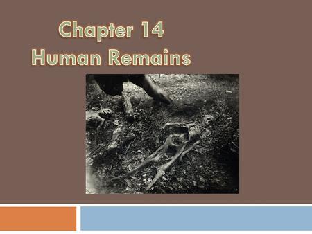 Forensic Anthropology Identifies skeletal Remains where bones are the only evidence.