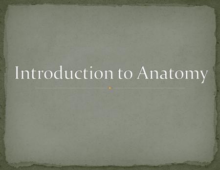 Anatomy Study of the structure and shape of the body and its partsPhysiology Study of how the body and its parts work or function.