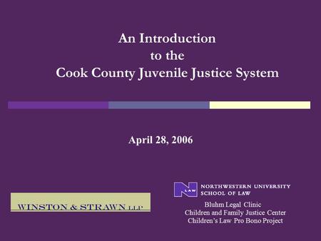 An Introduction to the Cook County Juvenile Justice System April 28, 2006 Bluhm Legal Clinic Children’s Law Pro Bono Project Children and Family Justice.