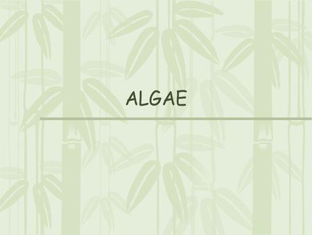 ALGAE.