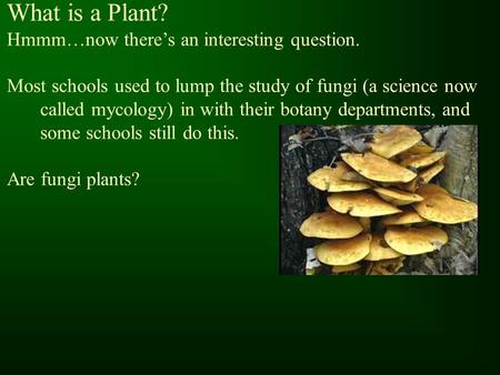 What is a Plant? Hmmm…now there’s an interesting question. Most schools used to lump the study of fungi (a science now called mycology) in with their botany.