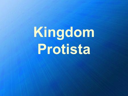 Kingdom Protista.