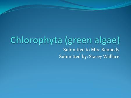 Submitted to Mrs. Kennedy Submitted by: Stacey Wallace.
