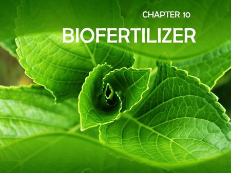 CHAPTER 10 BIOFERTILIZER.