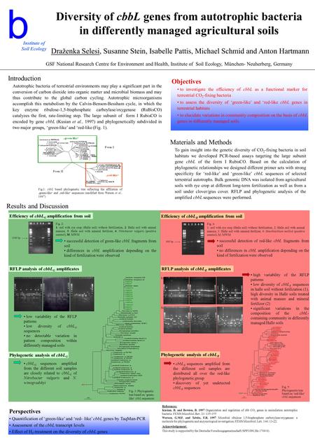 Institute of Soil Ecology Diversity of cbbL genes from autotrophic bacteria in differently managed agricultural soils Draženka Selesi, Susanne Stein, Isabelle.