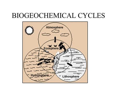 BIOGEOCHEMICAL CYCLES