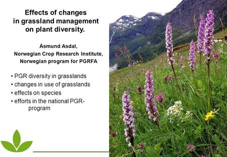 Effects of changes in grassland management on plant diversity. Åsmund Asdal, Norwegian Crop Research Institute, Norwegian program for PGRFA PGR diversity.