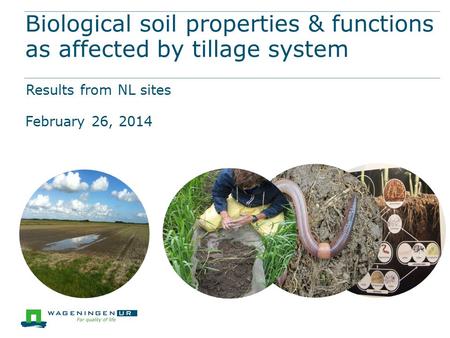 Biological soil properties & functions as affected by tillage system Results from NL sites February 26, 2014.