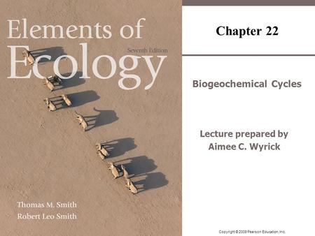 Biogeochemical Cycles Lecture prepared by Aimee C. Wyrick