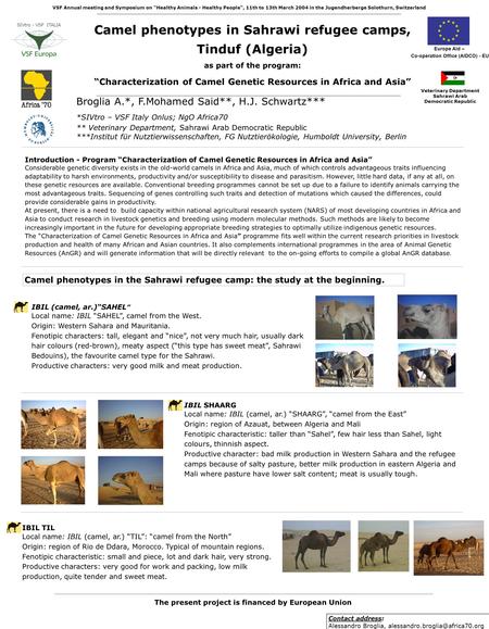 Camel phenotypes in Sahrawi refugee camps, Tinduf (Algeria) as part of the program: “Characterization of Camel Genetic Resources in Africa and Asia” Broglia.