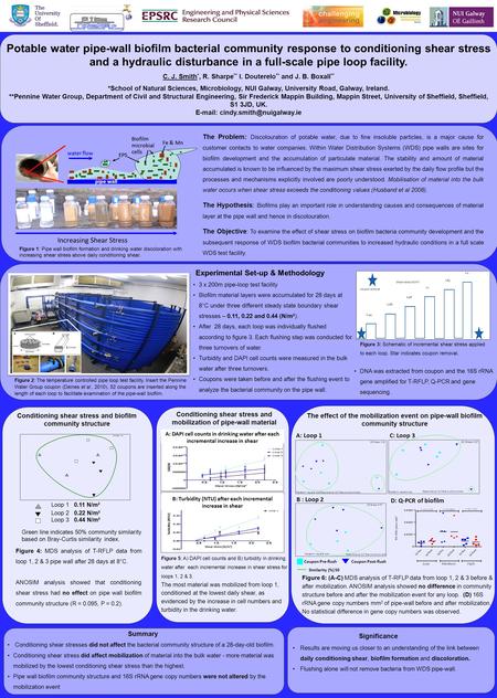 Potable water pipe-wall biofilm bacterial community response to conditioning shear stress and a hydraulic disturbance in a full-scale pipe loop facility.