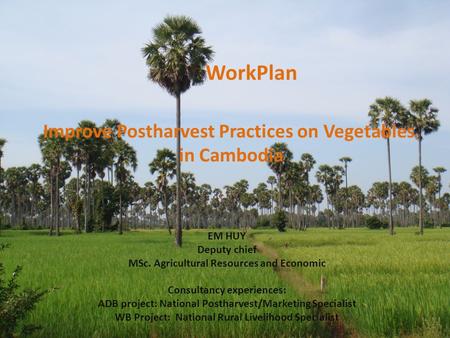 WorkPlan Improve Postharvest Practices on Vegetables in Cambodia EM HUY Deputy chief MSc. Agricultural Resources and Economic Consultancy experiences: