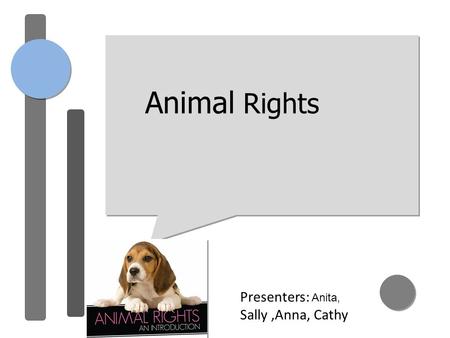 Animal Rights Presenters: Anita, Sally,Anna, Cathy.