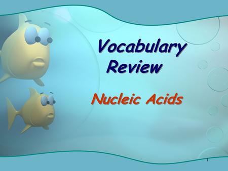 1 Vocabulary Review Nucleic Acids. 2 Enzyme that unwinds & separates the DNA strands Helicase.