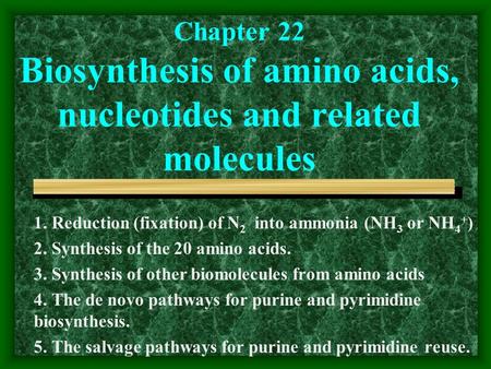 Chapter 22 Biosynthesis of amino acids, nucleotides and related molecules 1. Reduction (fixation) of N 2 into ammonia (NH 3 or NH 4 + ) 2. Synthesis of.